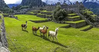 Cusco, Valle Sagrado y Machu Picchu en 4 Días